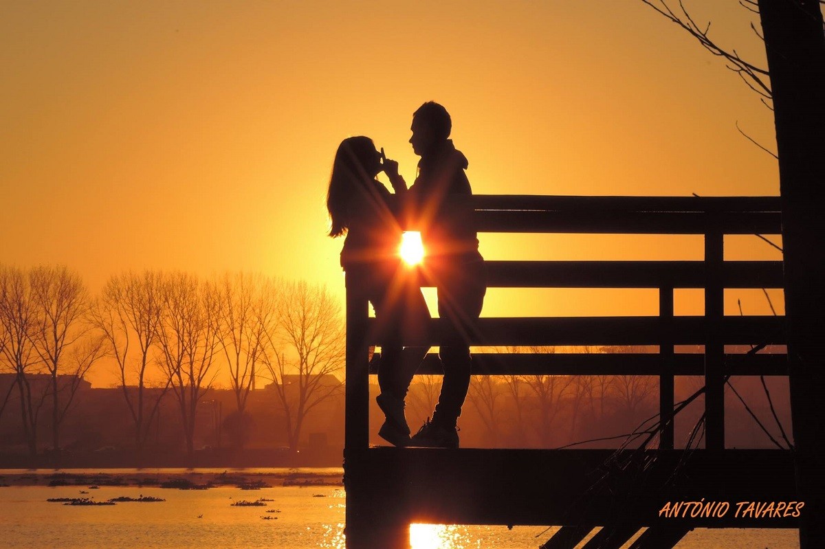 Secretos para conquistar al hombre perfecto: ¡Conviértete en su pareja ideal!